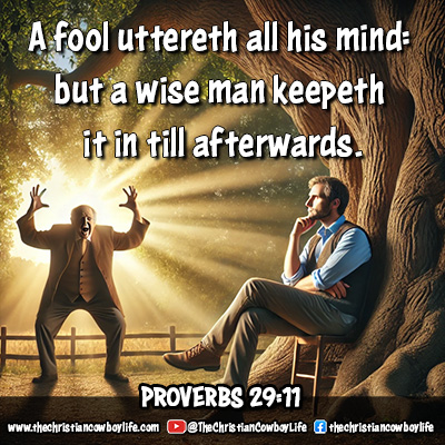 An artistic image with the Bible verse Proverbs 29:11, emphasizing wisdom and restraint.