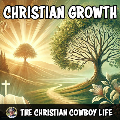 A worshipful image featuring a female musician with a violin, surrounded by soft light and a glowing cross in the background, symbolizing spiritual growth and walking in God’s light.