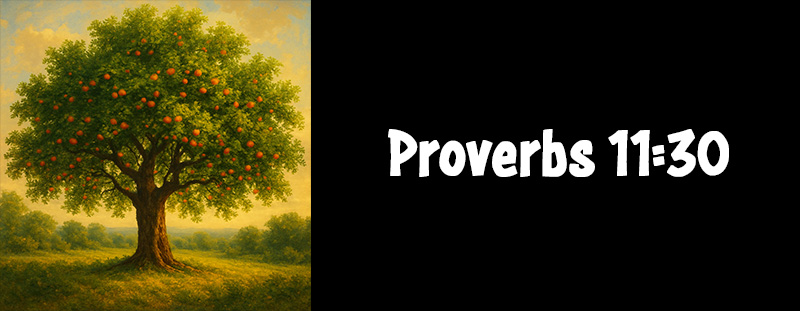 This image represents Proverbs 11:30 and has an overlay that reads: “The fruit of the righteous is a tree of life; and he that winneth souls is wise.” — Proverbs 11:30